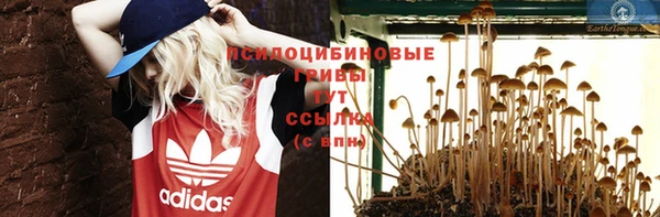 спайс Магадан