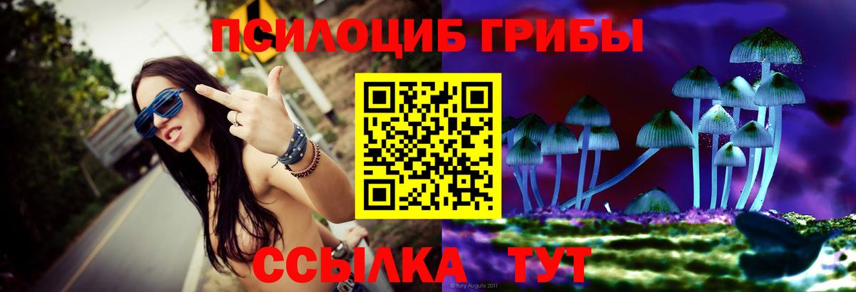 Нефтекамск  Псилоцибиновые грибы Psilocybine cubensis  Вход с VPN 